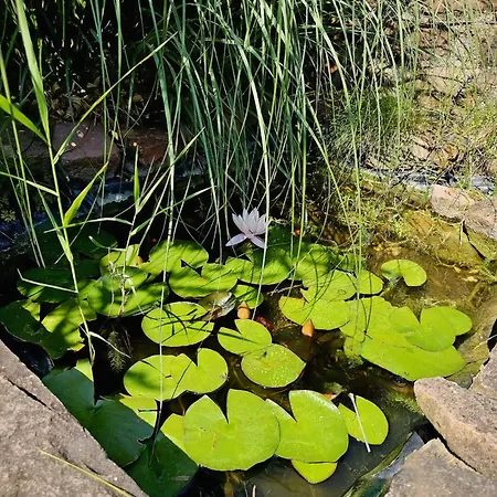 Seckenheim Hideaway Apartamento *